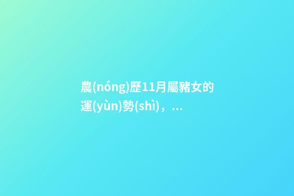 農(nóng)歷11月屬豬女的運(yùn)勢(shì)，11月份屬豬的財(cái)運(yùn)如何 生肖豬女的一生命運(yùn)-第1張-觀點(diǎn)-玄機(jī)派